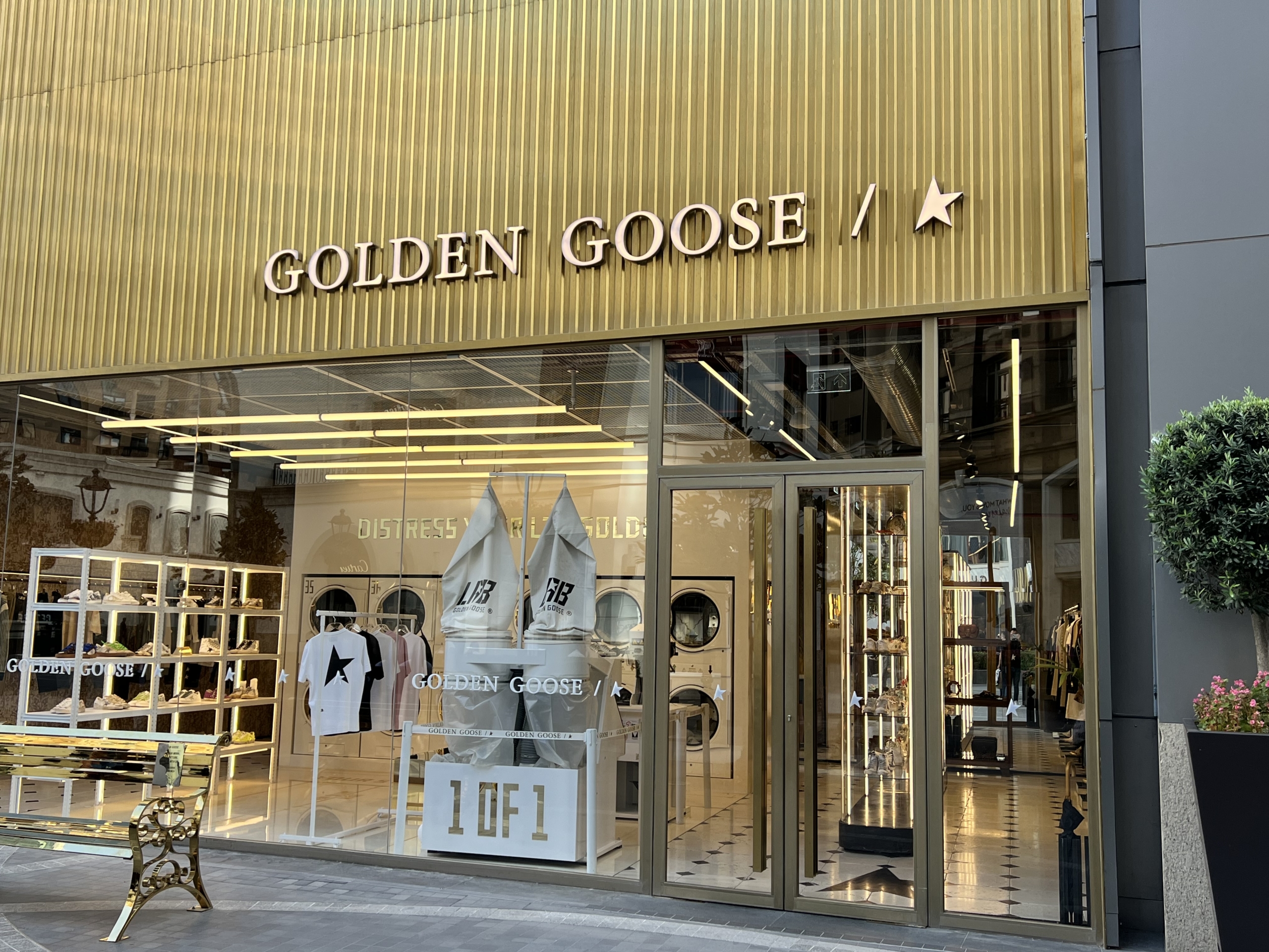 golden goose