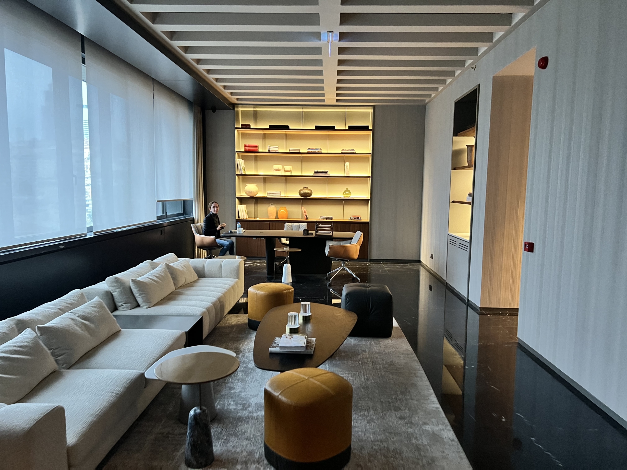 Ritz-Carlton Residences Nisantasi - View